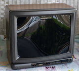 TV Head With Wood Grain - Ready to Ship