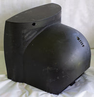 Rustic TV Head - Ready to Ship