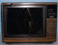 Wearable Retro TV Head - MGA - Ready to Ship