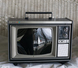 Retro Wood Grain TV Head - Ready To Ship