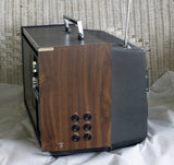Retro Wood Grain TV Head - Ready To Ship