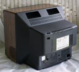 Retro Wood Grain Magnavox TV Head (light damage) - Ready To Ship