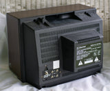 Retro Wood Grain Emerson TV Head - Ready To Ship