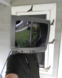 Person wearing a television set on their head with a window and decorative bats in the background