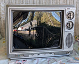 JCPenny TV Head - Ready To Ship