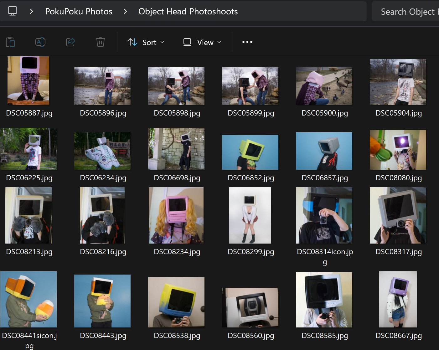 Miscellaneous – PokuPoku Studio